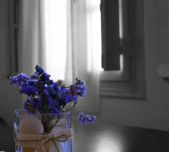 Appartamento Paesino